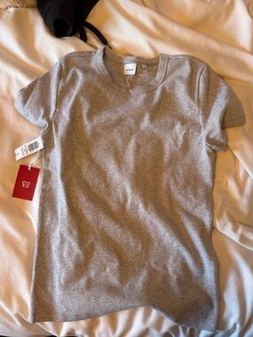 Aritzia Gray T-shirt